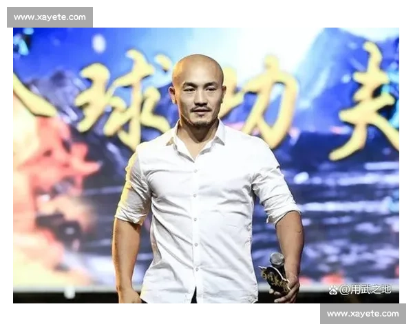 一龙激战全程回顾 聚焦拳坛新星的精彩表现与挑战