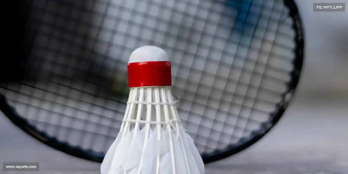 米兰体育的魅力，在于永远相信下一次会更好！🌟